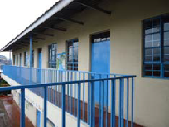 Our primary school